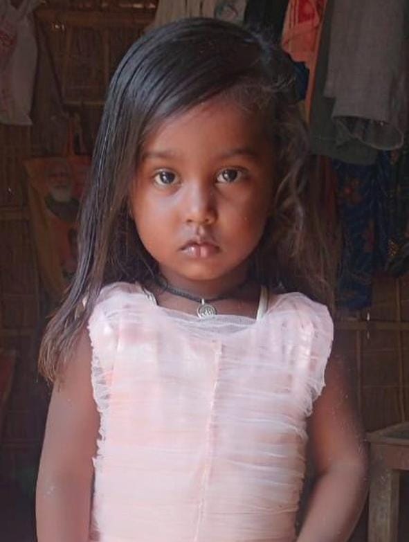 A three-year-old girl playing near her home was carried away by a wolf.
