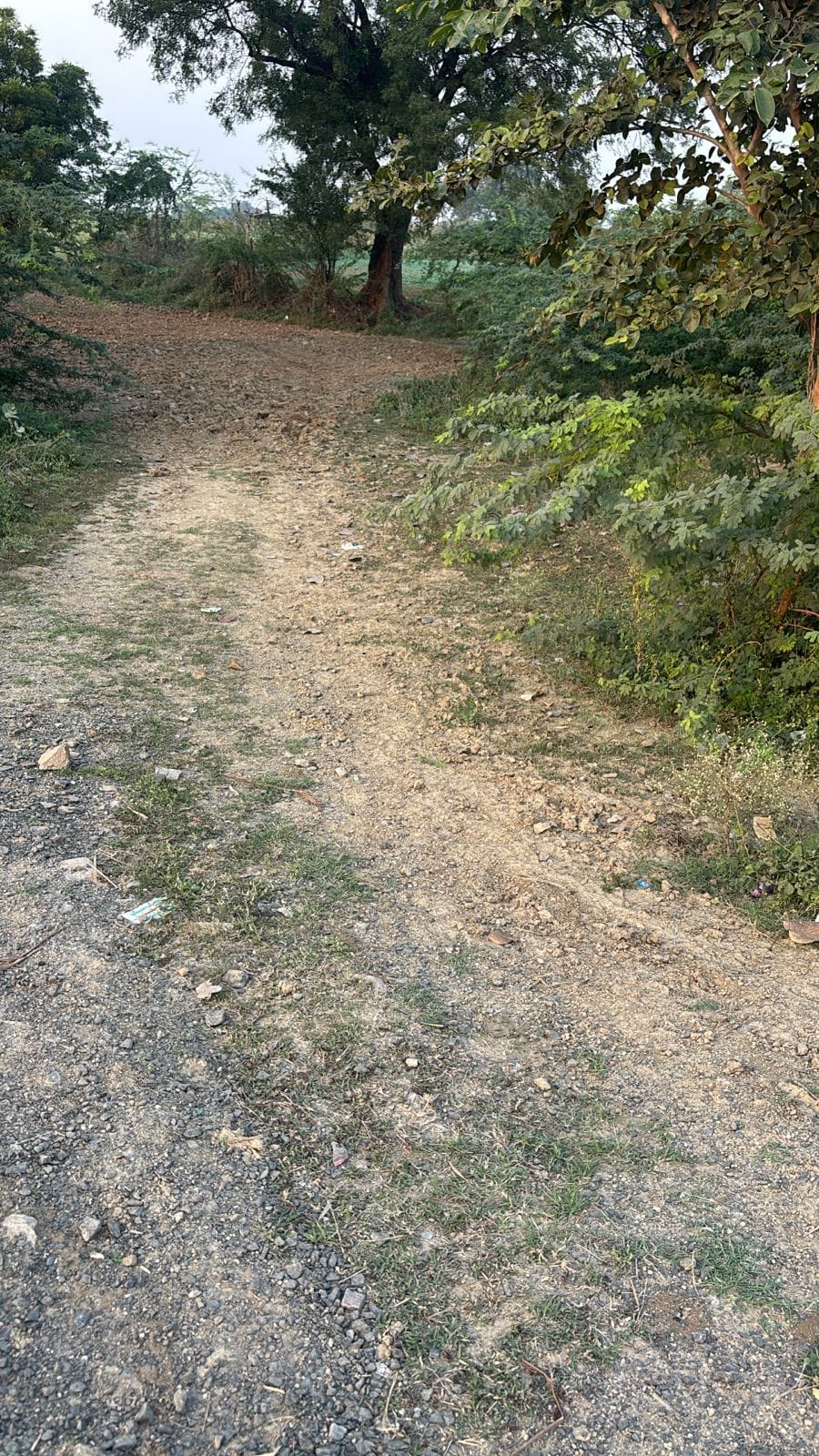 The 2.75 km road connecting Basantal will be constructed at a cost of Rs 2.13 crore.