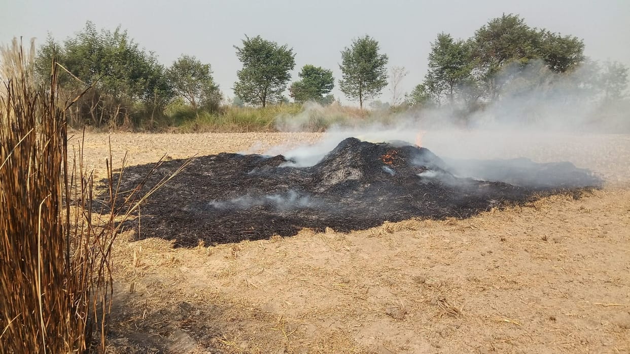 Preparations for managing 8 million tonnes of crop residue in Haryana