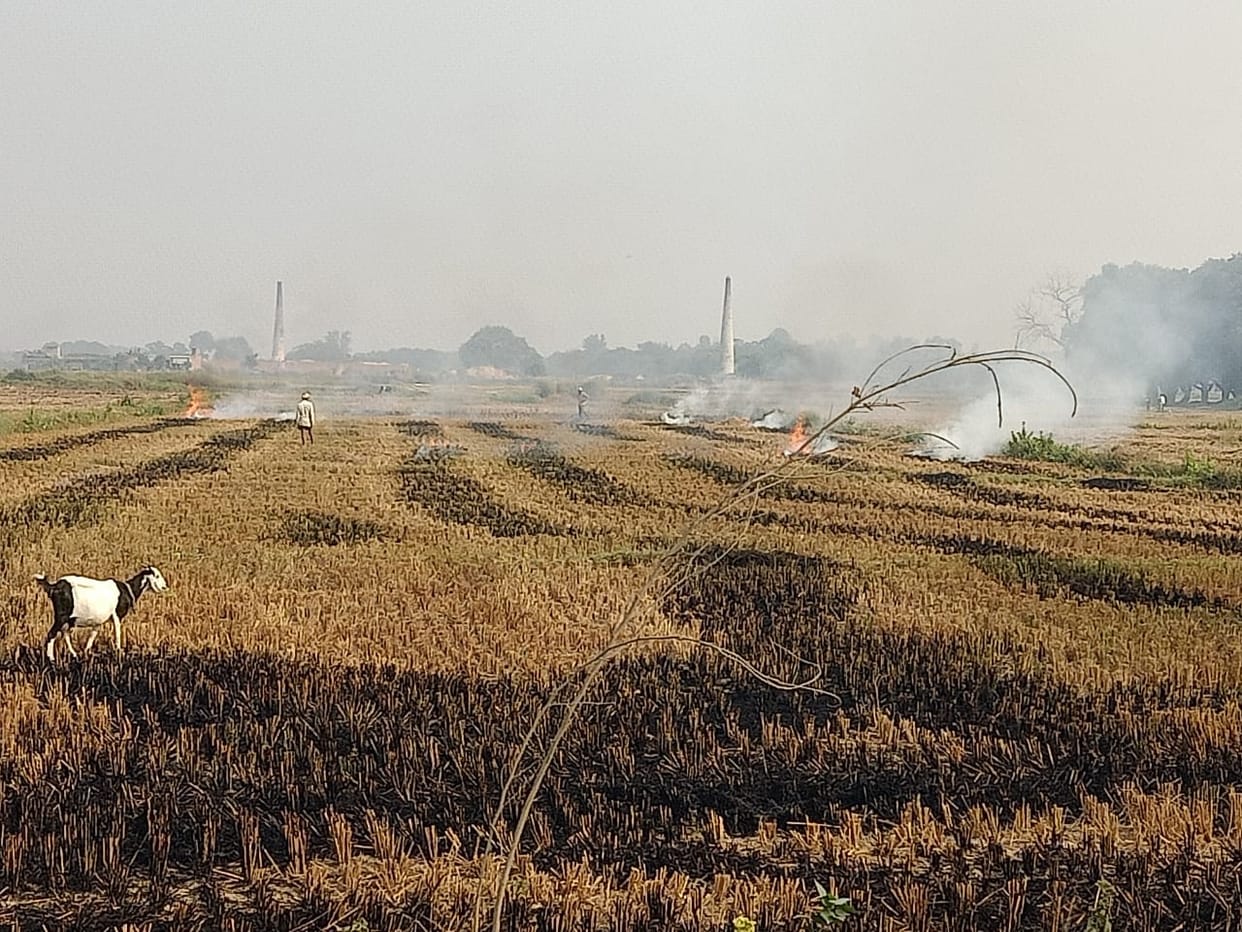 Soil burning with stubble, air pollution...health also in danger