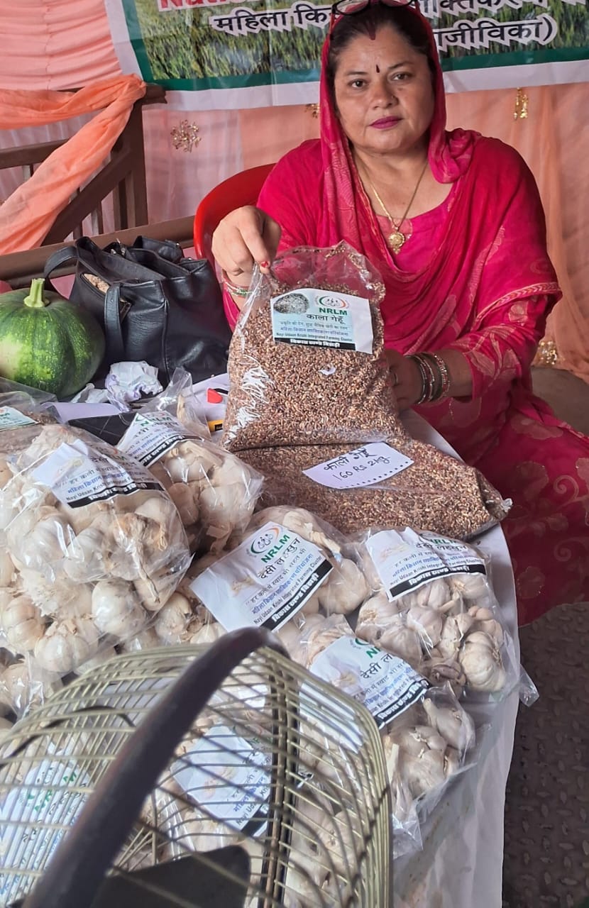 Kohdra's Anjana Guleria changed her fortune through farming, working hard to grow black wheat, flaxseed, and garlic.