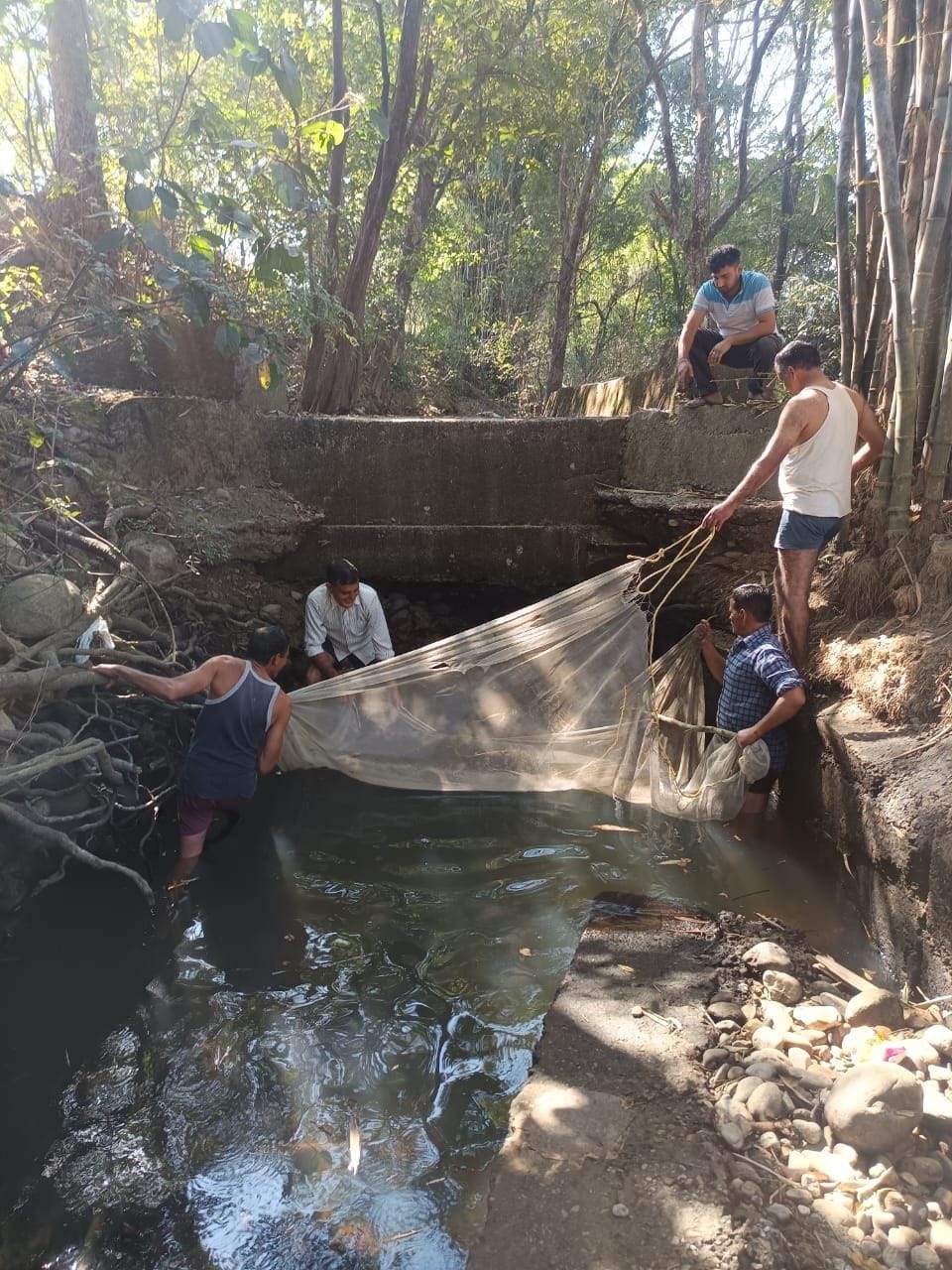 Small fish trapped in Rahera drain rescued