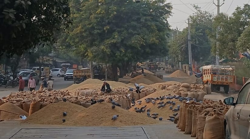 Farmers are struggling with low paddy purchases and delayed payments.