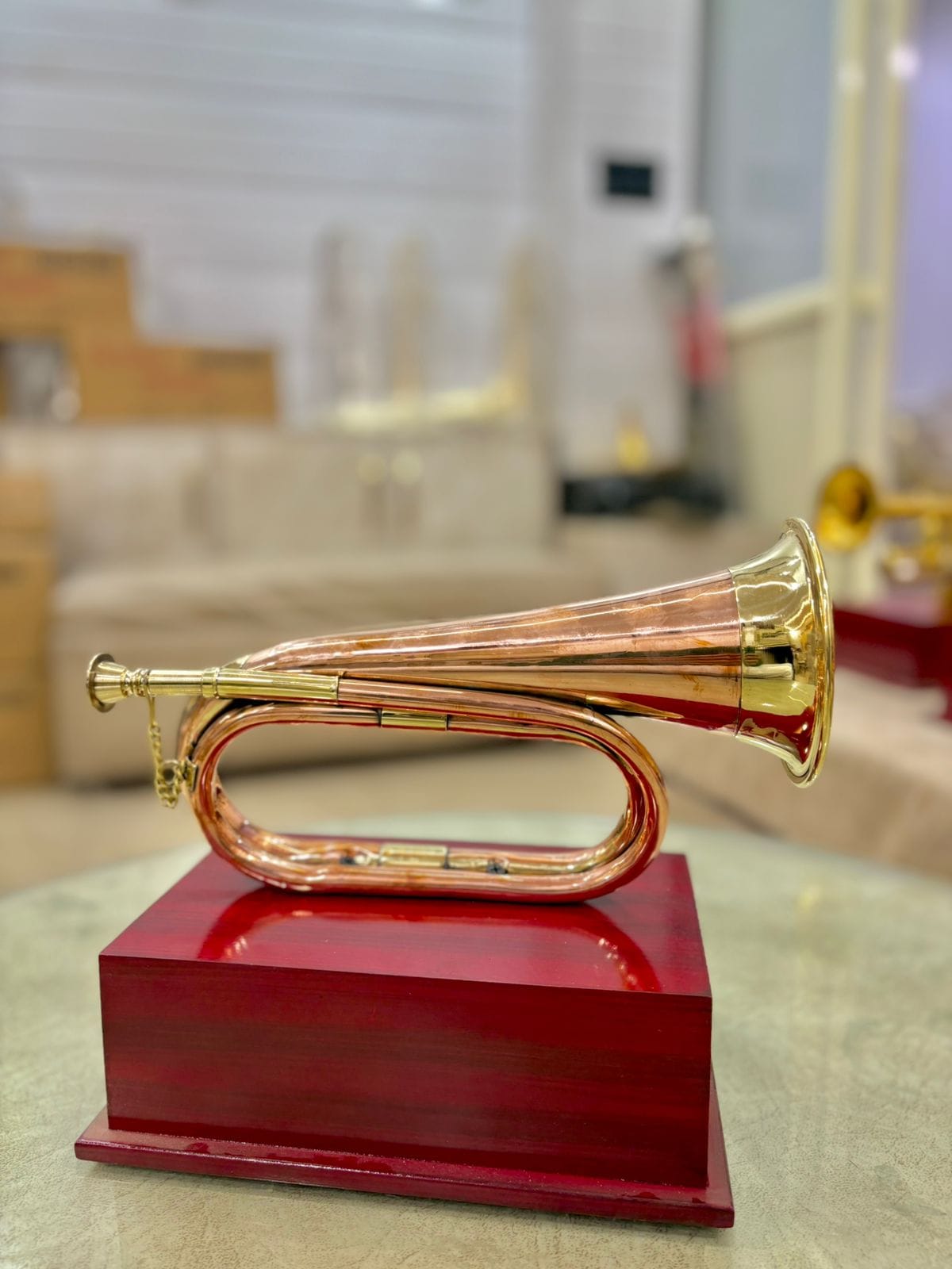 Meerut's bugle resonates globally, GI tag gives it a new lease of life