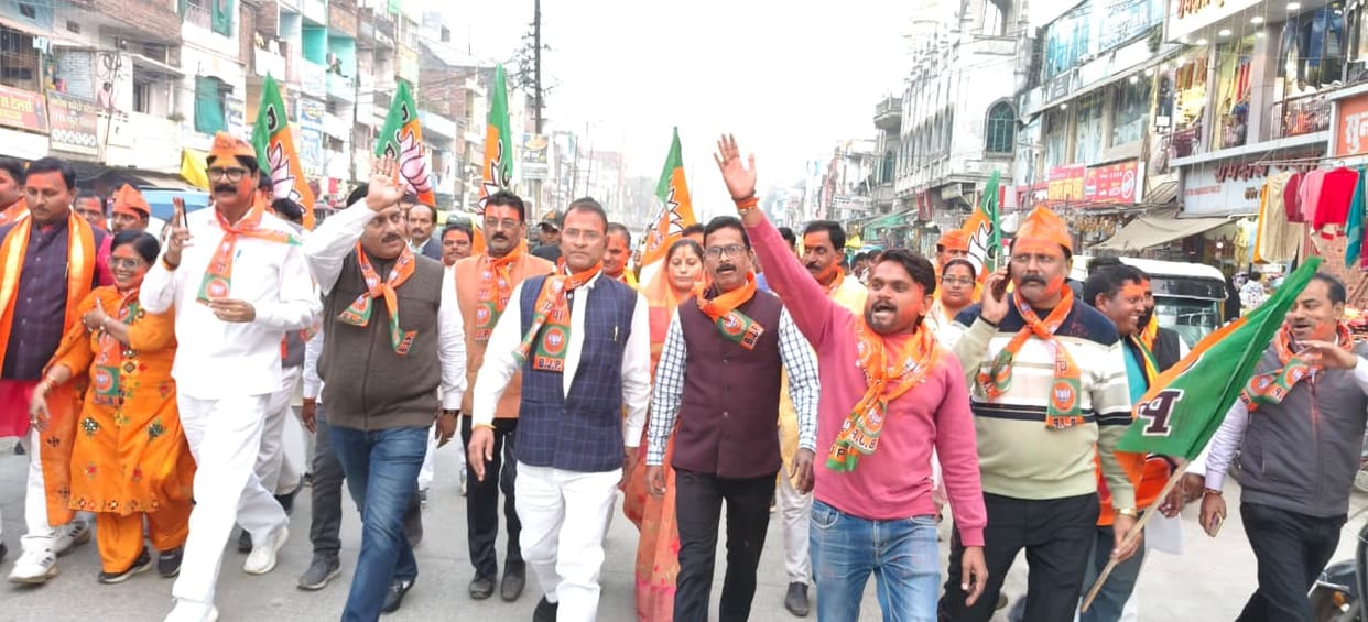 Celebration on NDA's victory in Bihar elections,