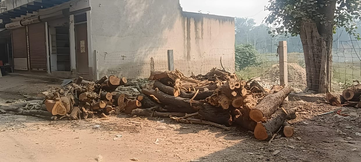 As the cold increases, the demand for coal and wood increases.