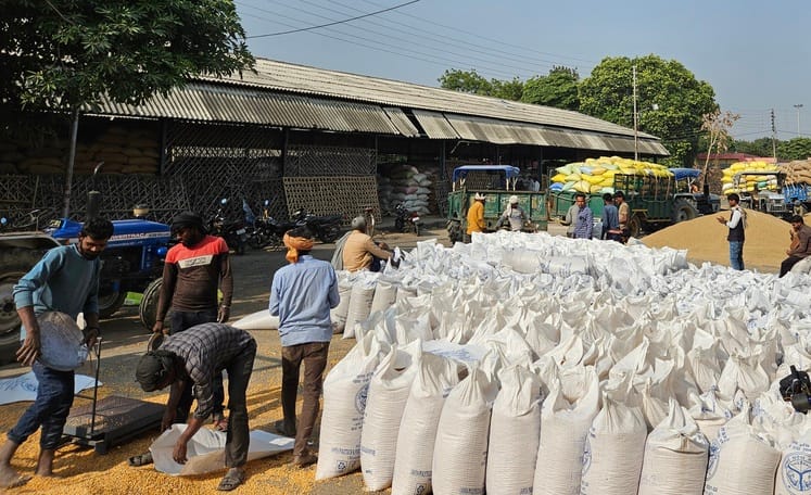 Only 68 quintals of paddy was procured in two weeks.