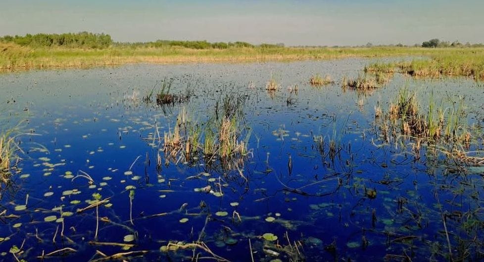 Dariyavanj Lake will become a center of eco-tourism, a butterfly garden will also be built.
