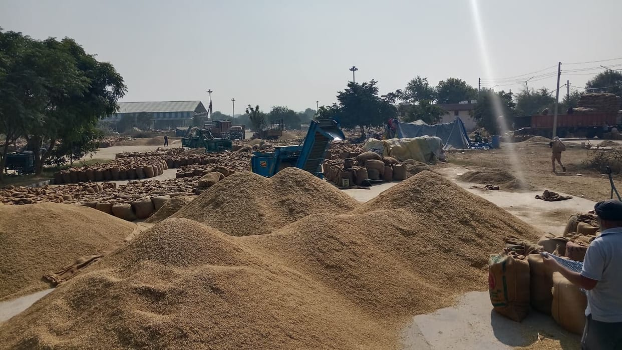 Parmal paddy procurement completed in mandis, exceeded 10 lakh quintals