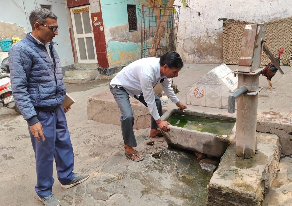 Three dengue patients found, total number reaches 290