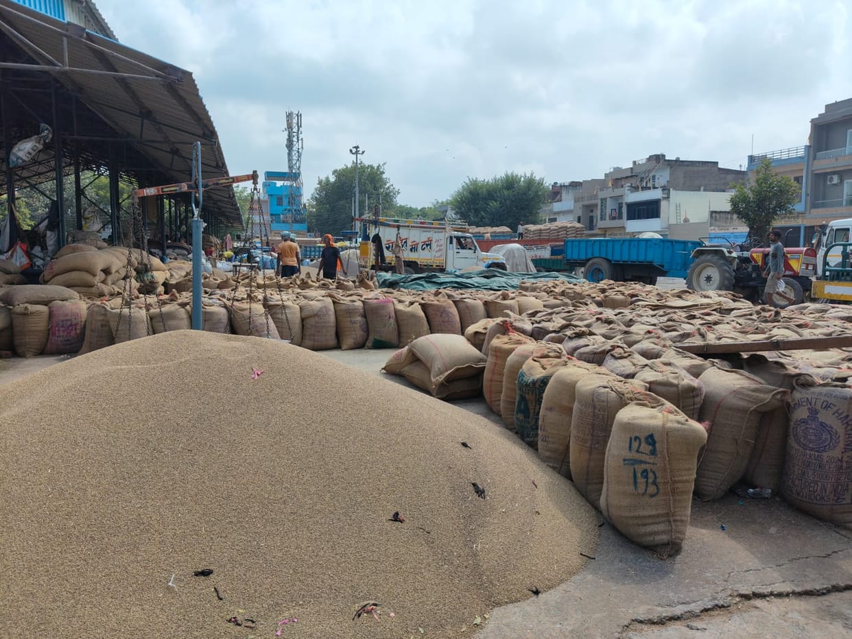 This season, 10 lakh quintals of millet arrived, 40 thousand gate passes were cut.