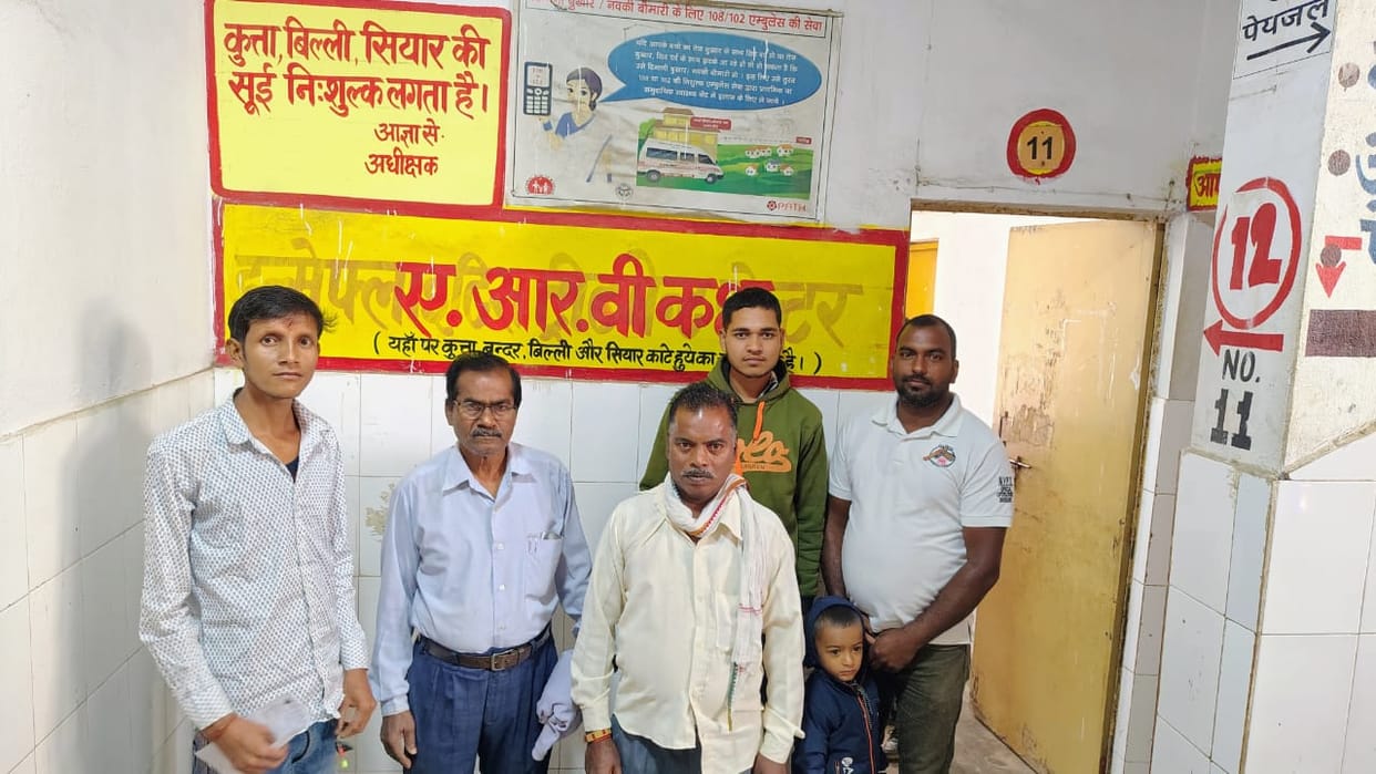 Mad dog bites 10 more people, panic in the area in Deoria