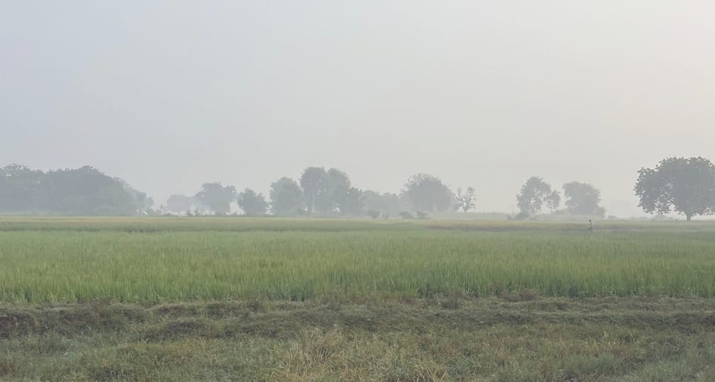 Snowfall in the hilly areas, melting picks up pace in the district