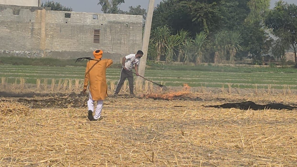 Following the rules, the SDM extinguished the stubble fire.