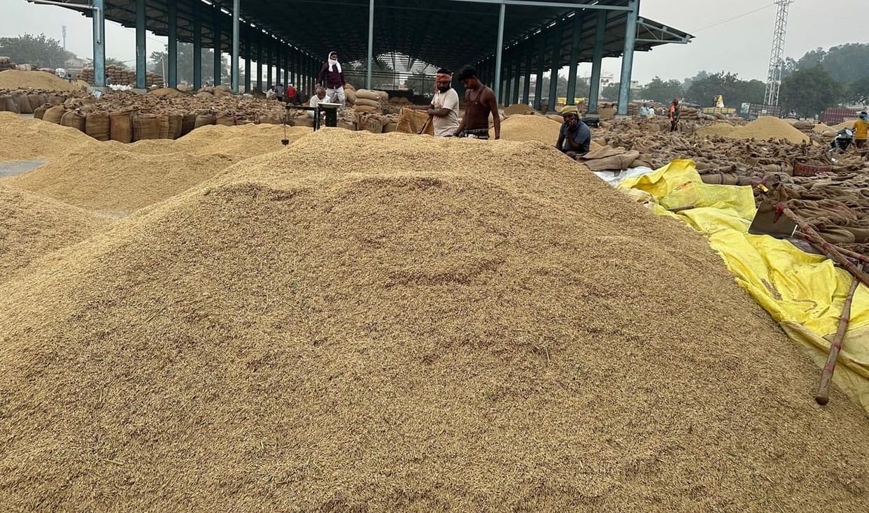 PR paddy procured than last year
