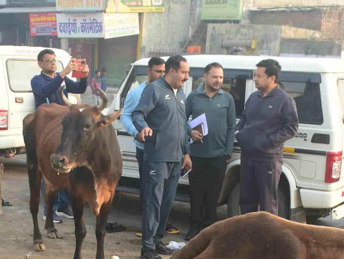 It is our collective responsibility to make the city clean and beautiful: Deputy Commissioner