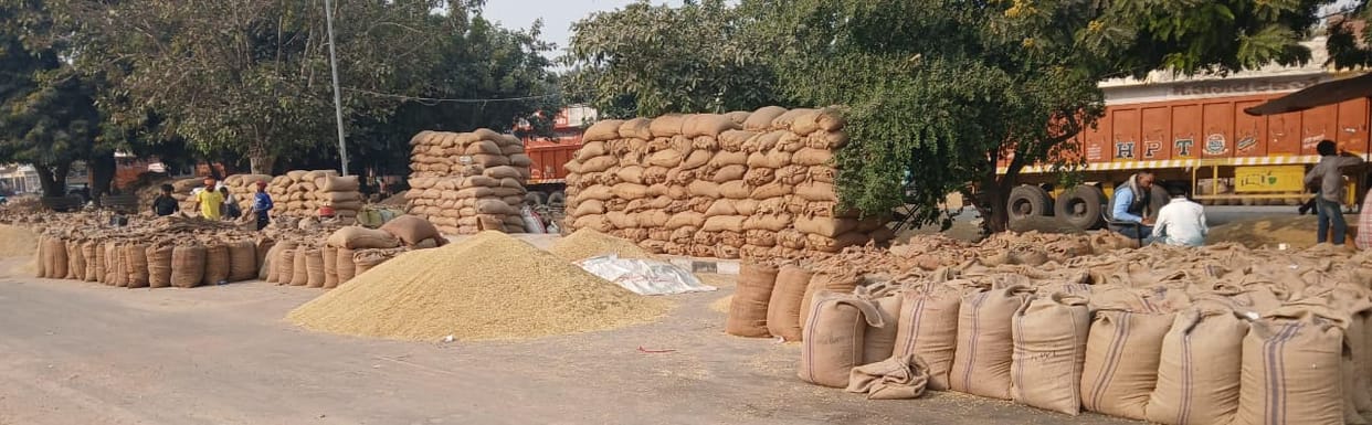 80 thousand quintals more paddy arrived than last year