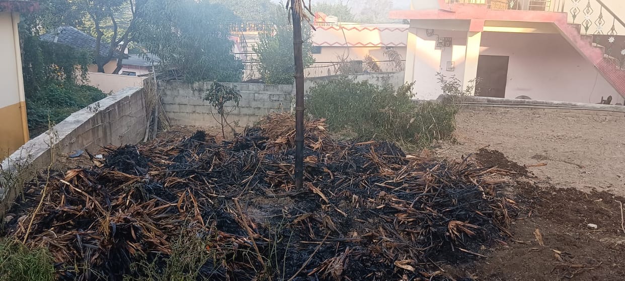 250 bundles of maize burnt to ashes in Balh Bihal