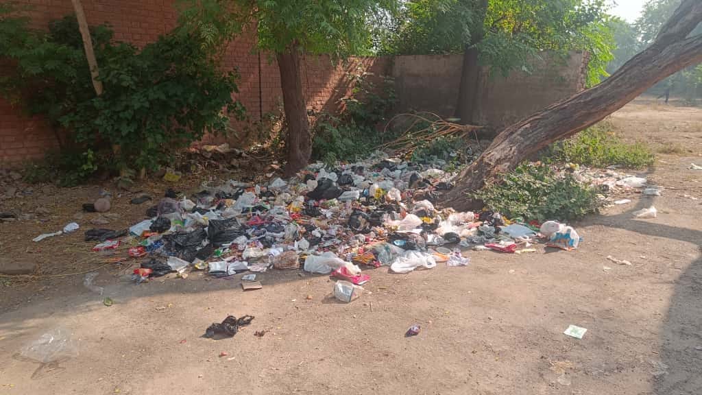 Garbage piles up in Market Committee Colony, 50 families suffer