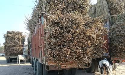 Vehicles without reflectors are running like death in the fog