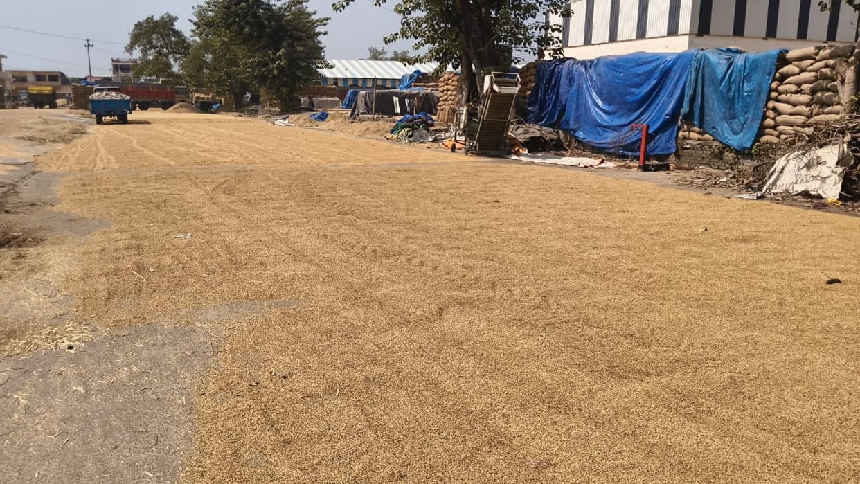 There was controversy from the beginning till the end in the government procurement of paddy