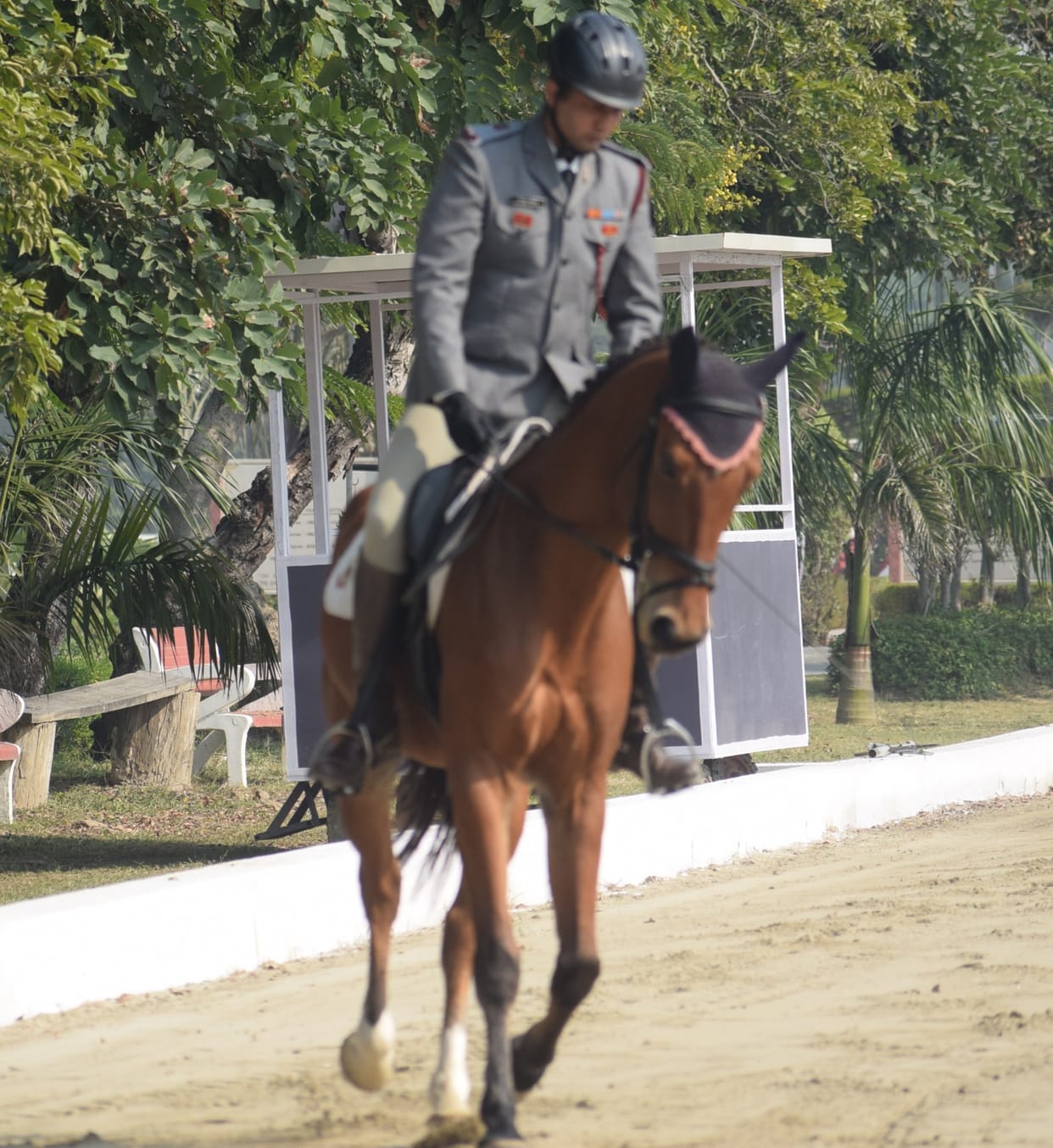 Yashdeep Ahlawat and Piyush Deshmukh lead the equestrian novice dressage competition.