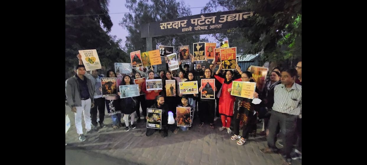 Animal lovers protested, saying dogs should not be removed.