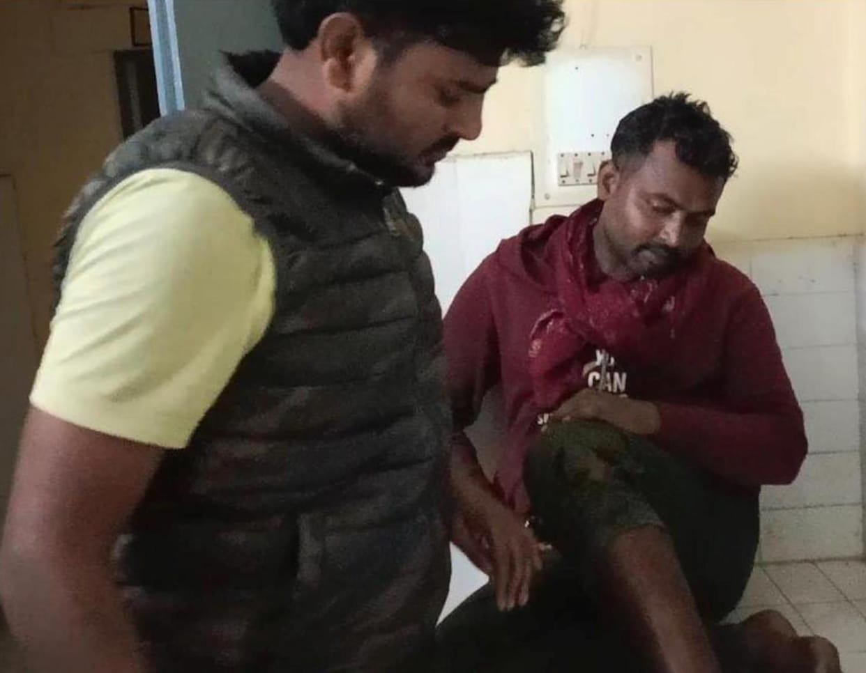 Elderly man and two children injured in jackal attack