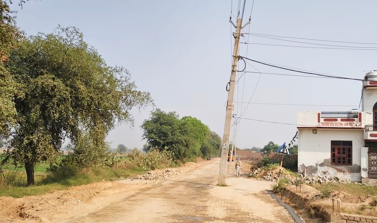 8 electric poles and 27 trees stand in the middle of the road under construction