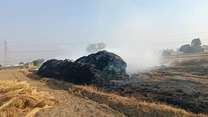 Stubble Burning 5085 cases 1909 FIRs 2146 raid entries fine of Rs 1 crore 23 lakh in Punjab