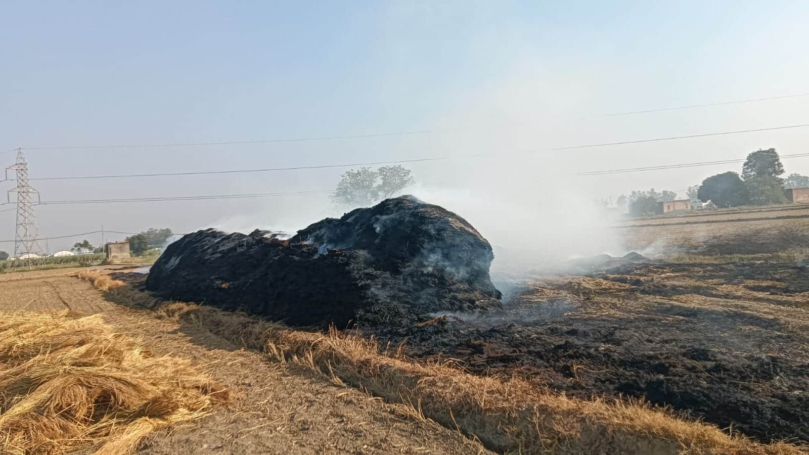 खेत में आग लगने से जली पराली। संवाद