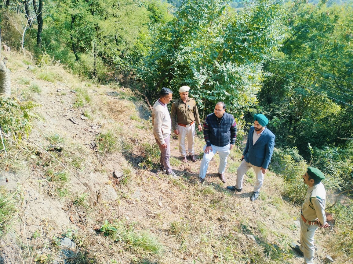 15 Khair trees were illegally cut in the forest, causing a loss of more than four lakh rupees.