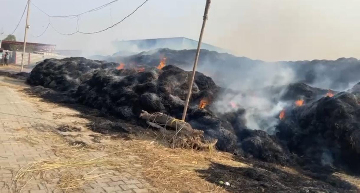 Fire broke out in Shahpur Taga cowshed, straw and stubble burnt to ashesFire broke out in Shahpur Taga cowshed, straw and stubble burnt to ashes