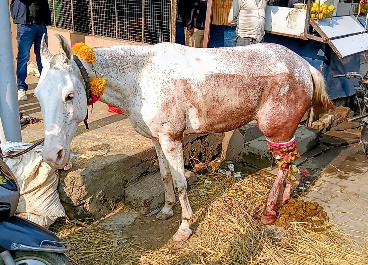 Horse carriage damaged due to collision with Bolero, traffic jam created