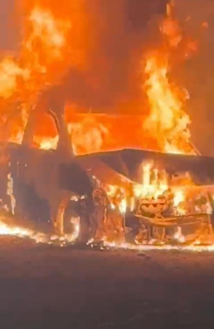 A car collided with a Nilgai on the highway, smoke billowed from the car, and it burned to ashes in the blink of an eye.