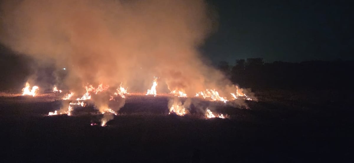 अलीगढ़: मंडल में पराली जलाने के 33 मामले पकड़े, किसानों को देना होगा दोगुना जुर्माना, सेटेलाइट से पकड़े जा रहे