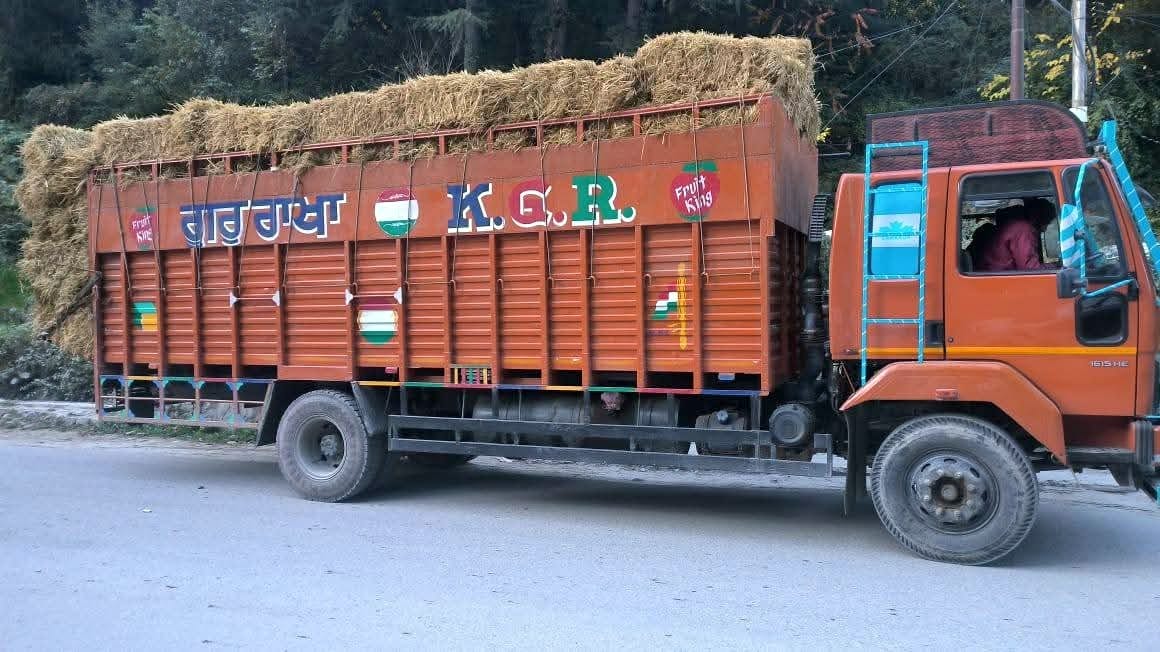 Truck carrying cattle caught, driver and assistant arrested