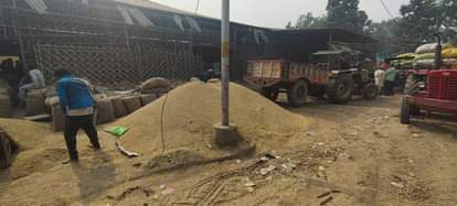 Auction platforms are occupied, paddy is being turned over on the unpaved road.