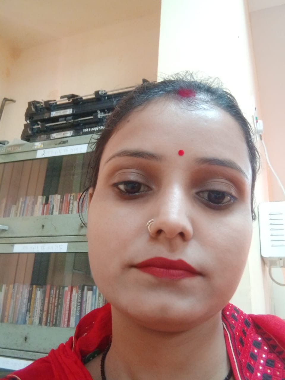 1317 women changed their fortunes by becoming Bank and BC Sakhis