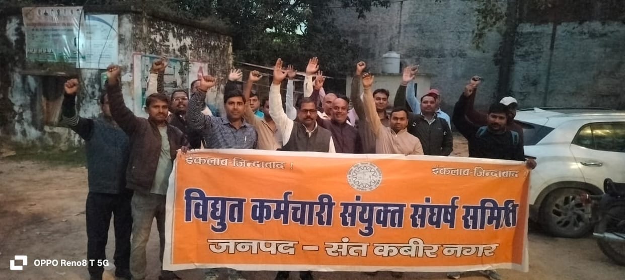 Electricity workers protested against privatization
