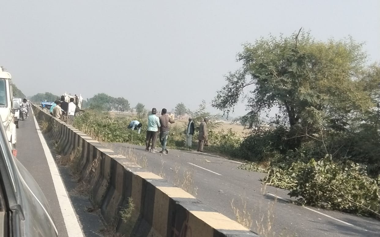 Tree felling begins on Badaun-Bareilly road, one-way system implemented