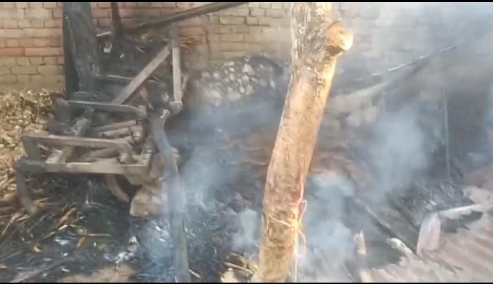 Buffalo burnt to death due to fire in hut