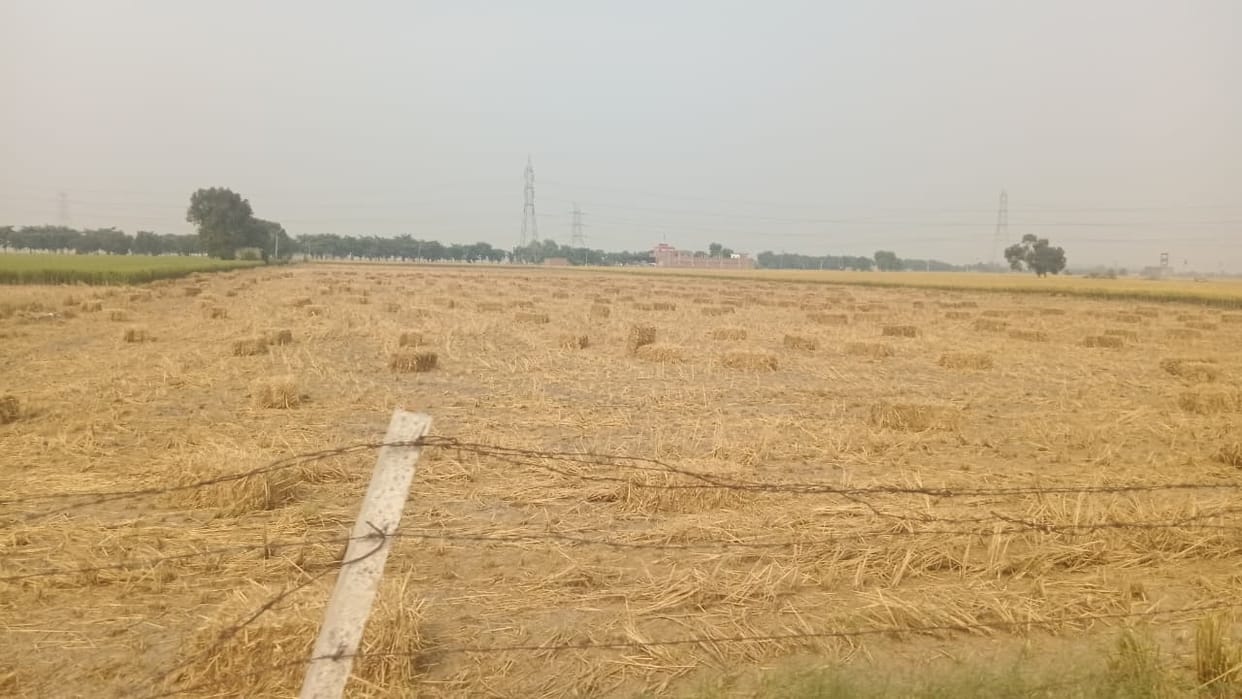 Electricity generated from stubble