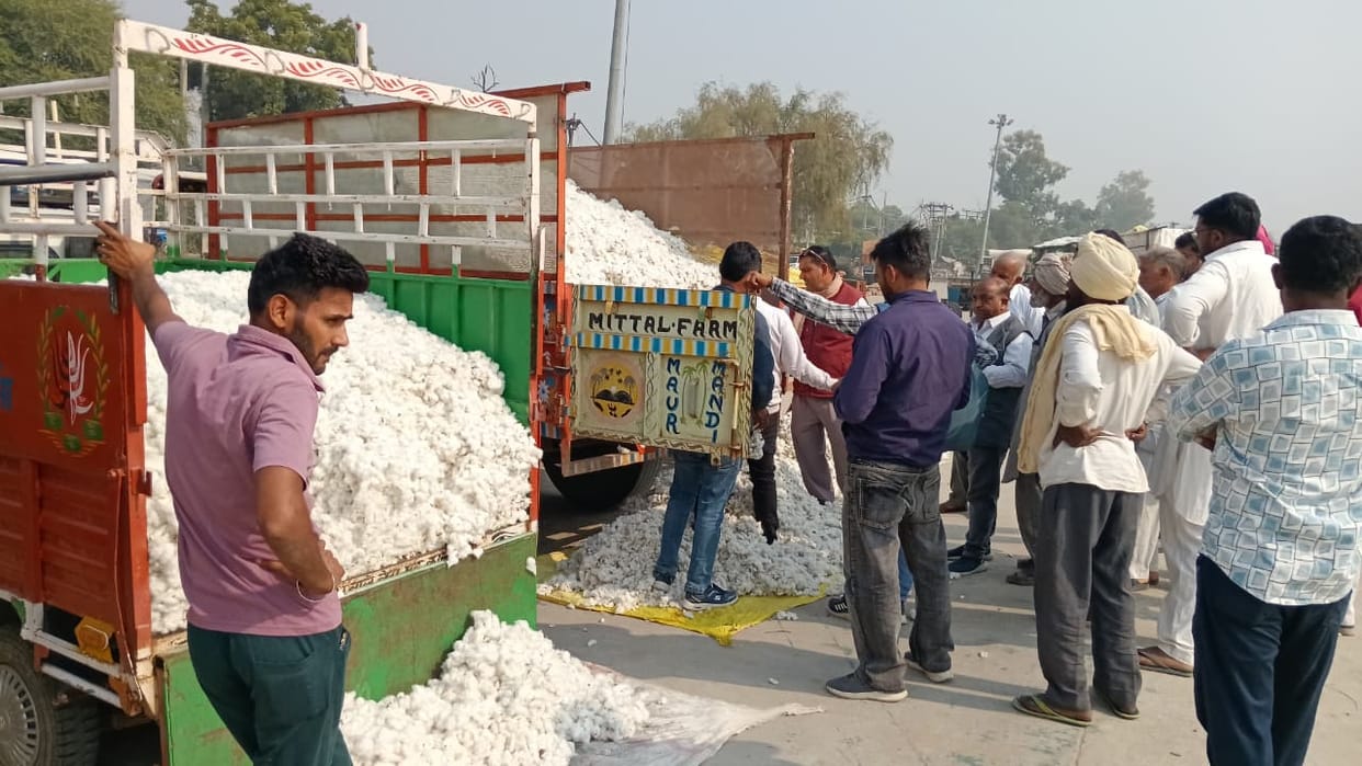 Farmers are unable to meet the procurement standards of the Cotton Corporation of India