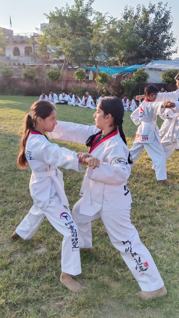 Taekwondo players showcase their talent in the color belt test