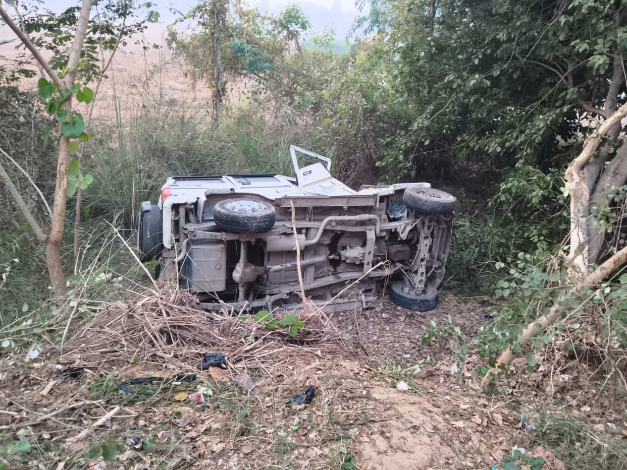 The driver dozed off, hitting a tree and the Bolero overturned into a ditch, injuring the driver and seven wedding guests.