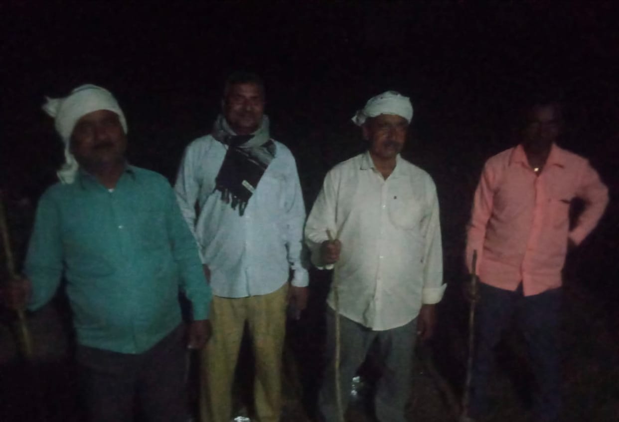 The forest department team conducted combing operations, but the jackal was not found, and panic persisted.