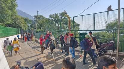vasino devi dham katra