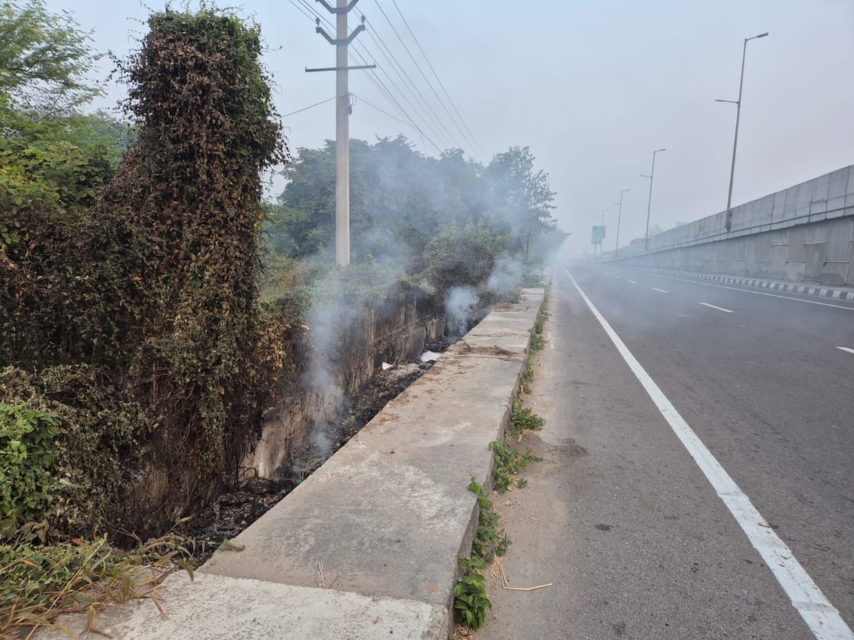 The rules of the grapes flying in the dust and smoke
