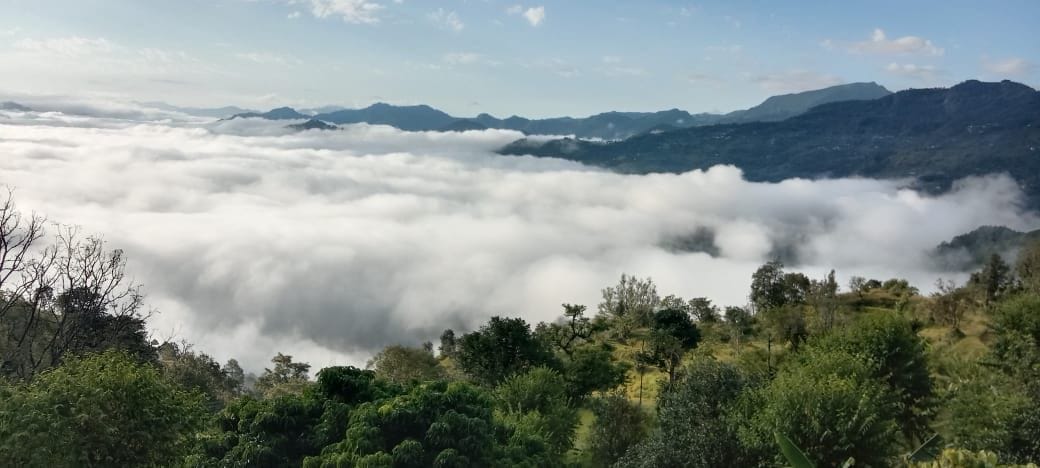 Frost and fog add to the woes, with temperatures dropping to freezing temperatures.